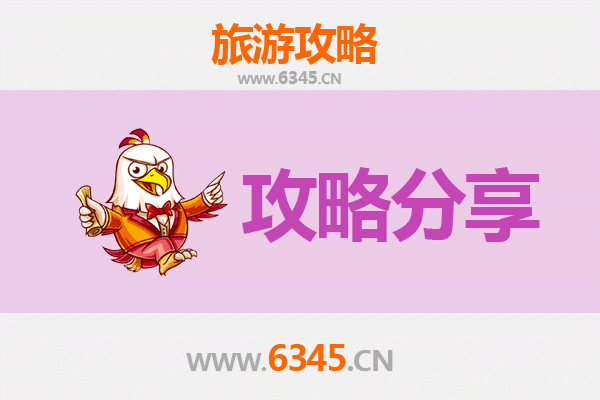德宏盈江旅游攻略：跟团与自由行全方位对比